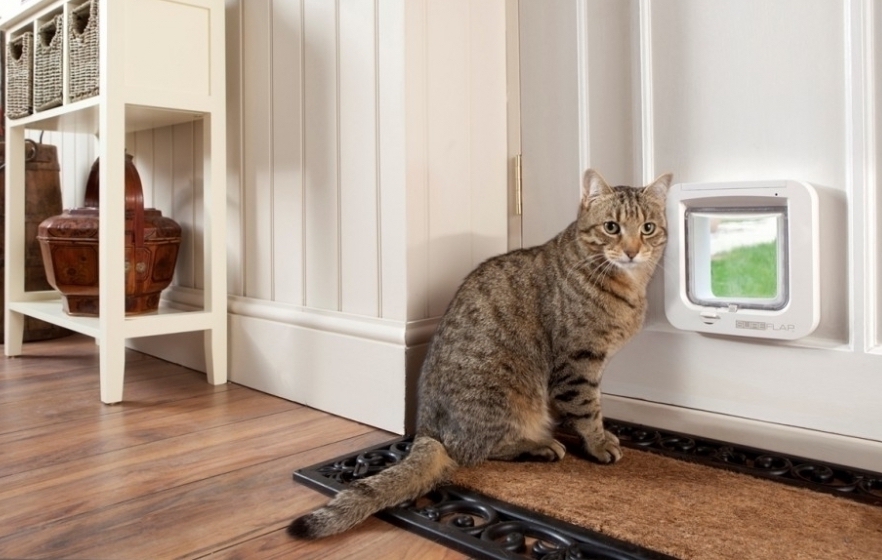 Foratura vetri per gattaiole e condizionatori a Segrate