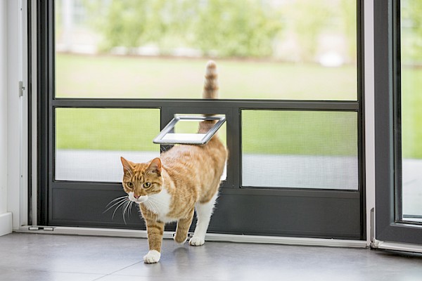 Foratura vetri a Segrate per installazione gattaiole